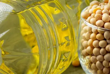 A glass bowl filled with soybeans and glass container with soybean oil.